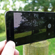 Illustration for article titled 8 Tricks to Take Better Photos With Your Phoneem/em